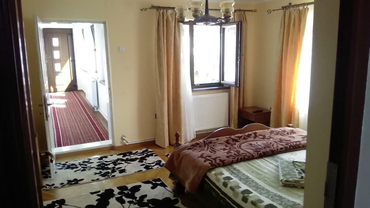 Pensiunea Adeluta Călimăneşti Exterior foto