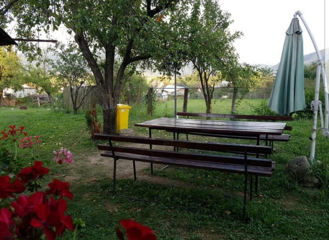 Pensiunea Adeluta Călimăneşti Exterior foto
